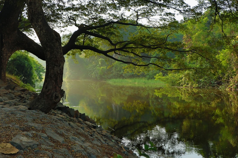 Nature & Environnement
