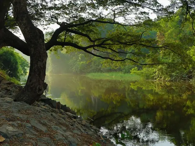 Nature & Environnement