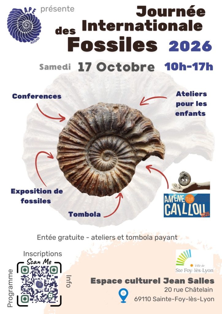 Visuel de l’événement Journée Internationale des Fossiles à Sainte-Foy-lès-Lyon, Samedi 17 Octobre